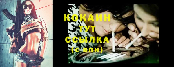spice Алзамай