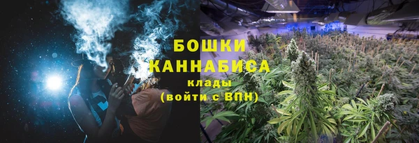 сатива Россошь