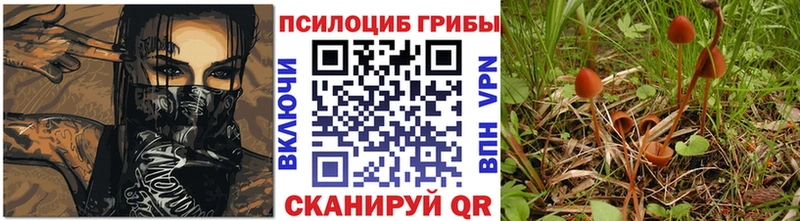 Псилоцибиновые грибы Psilocybine cubensis  Белокуриха 